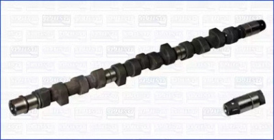 WILMINK GROUP wg1171008 -  Распредвал